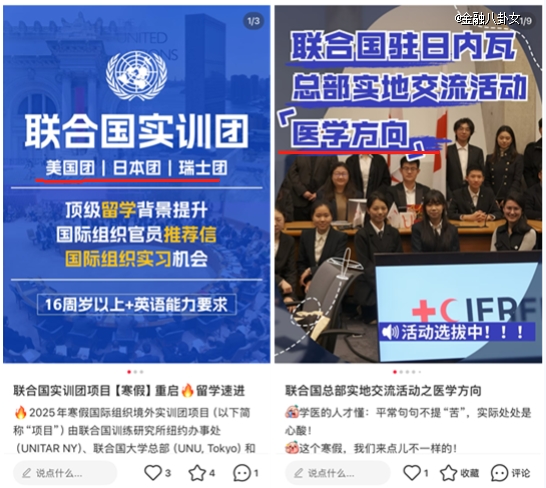 188元名媛「攻占」联合国