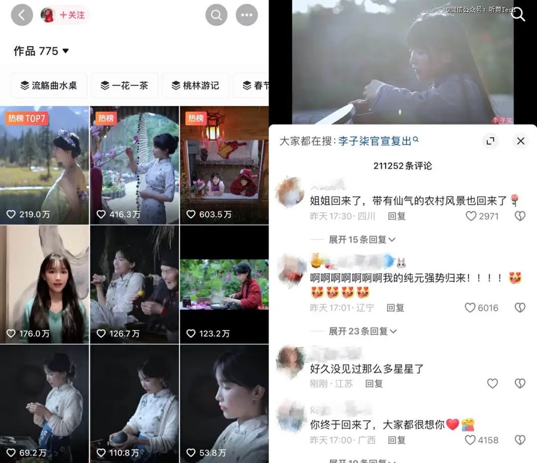 互联网需要李子柒