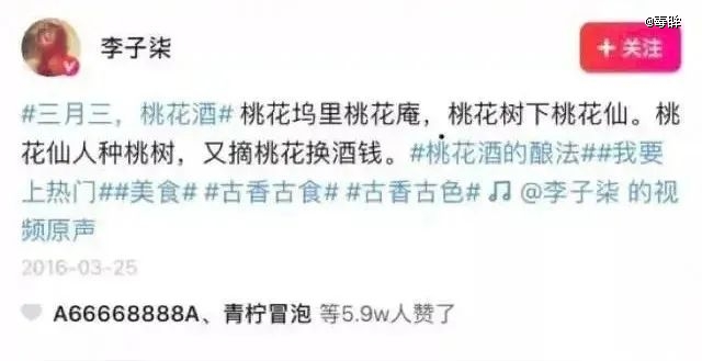 李子柒回归，被偷走的那三年
