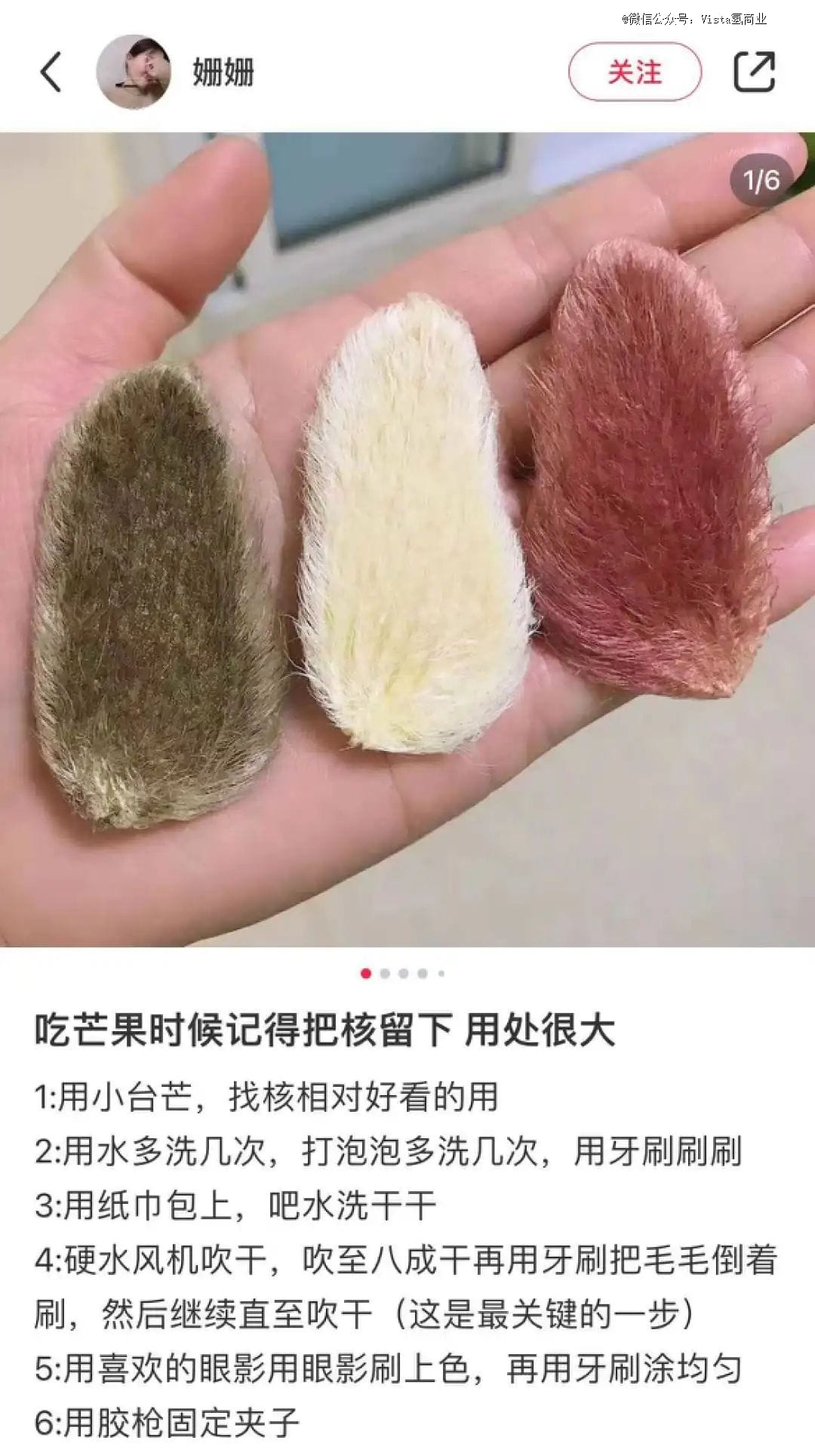 「芒果核嗦成的毛毛狗」，月薪2万打工人的新爱宠