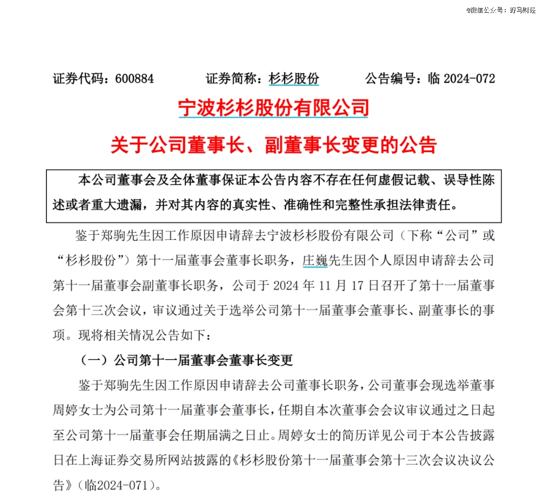 660亿「杉杉系」换了女掌门