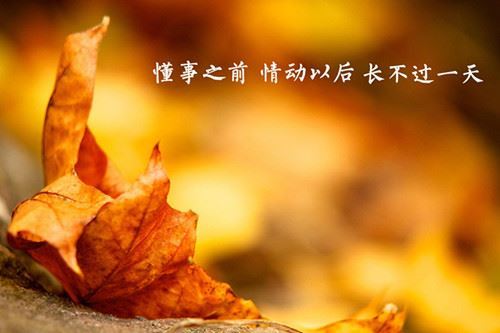 独一无二沙雕情侣网名