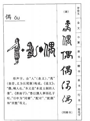 偶,偶的拼音,笔顺,意思解释,英文,五行属性,部首,结构
