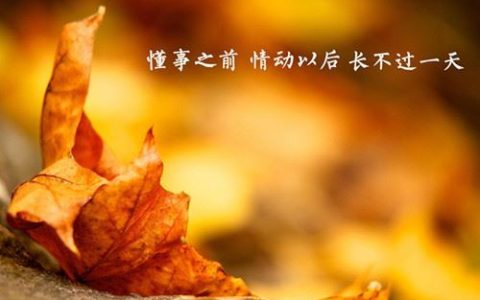 独一无二沙雕情侣网名