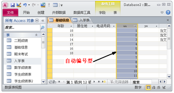 一文进阶access数据库，小白也能成为数据库使用高手