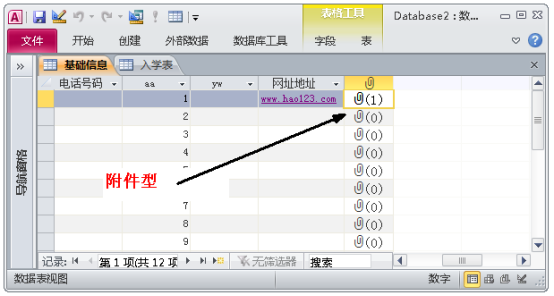 一文进阶access数据库，小白也能成为数据库使用高手