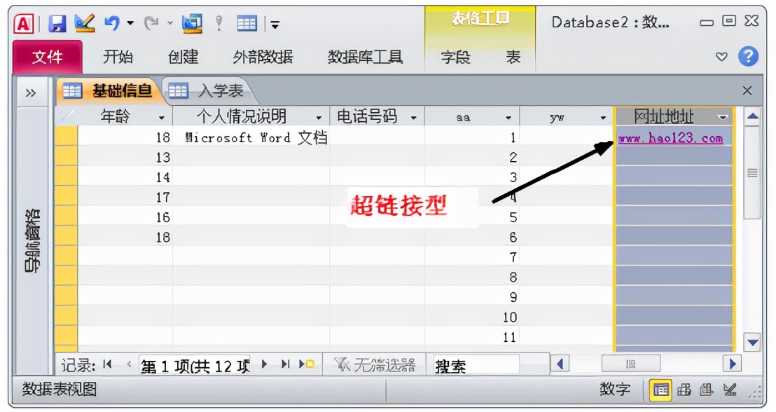 一文进阶access数据库，小白也能成为数据库使用高手