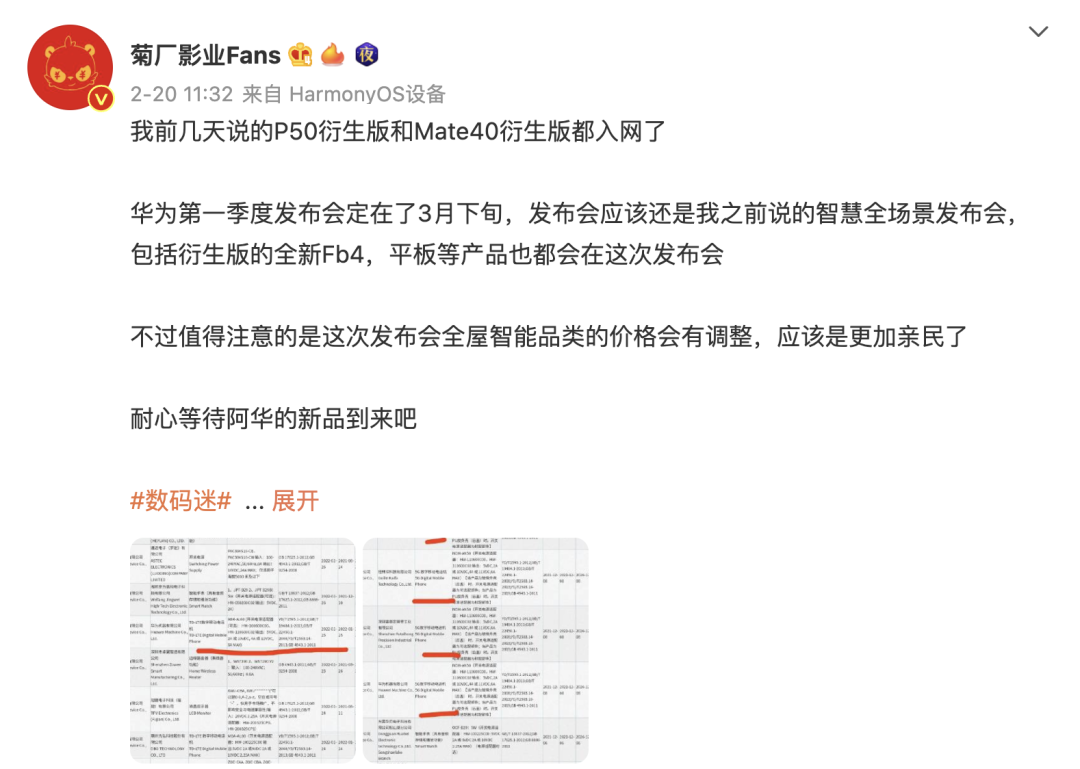 华为还有5g新机？5g麒麟9000l版mate40e pro或3月3日开售