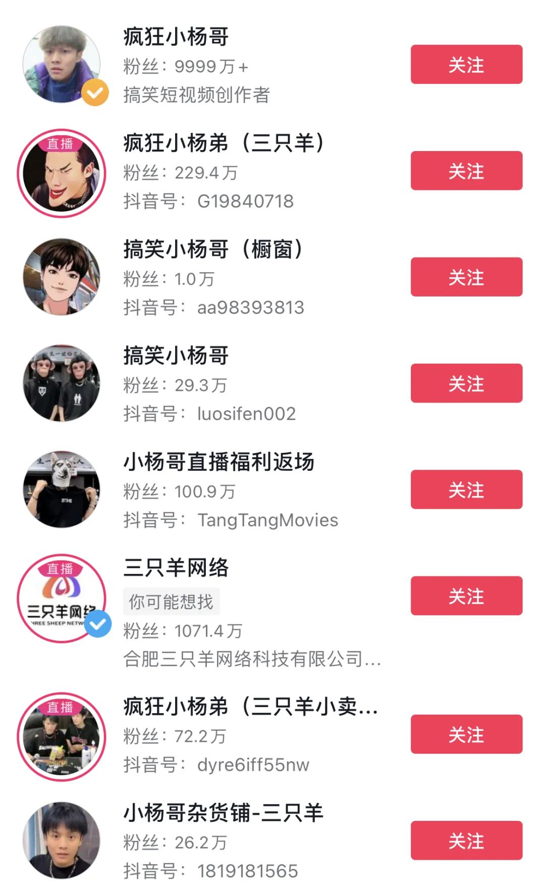 「复制」小杨哥，一场疯狂生意