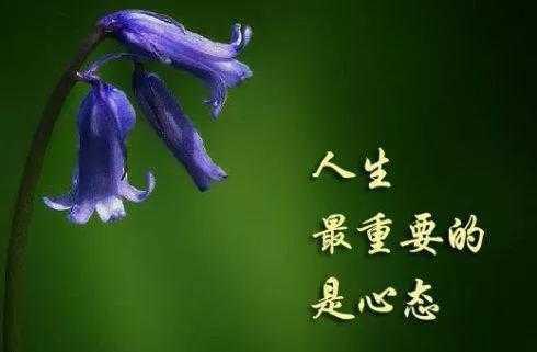 青未了/对待人生的思维方法