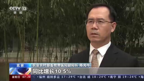 今日猪价行情|猪价继续跌，要跌到何时？官方：4月猪价会跌到谷底