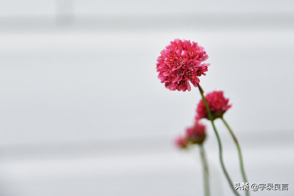 对工作的态度和责任心的句子（积极工作的正能量语录）