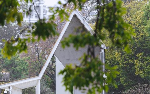 「寡妇年」里的深圳婚庆人