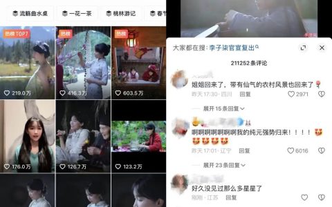 互联网需要李子柒