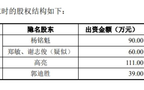 绿云软件ipo梦碎了