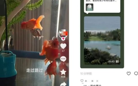 字节社交再变阵：抖音内测「朋友圈」、升级朋友功能，停止多闪研发