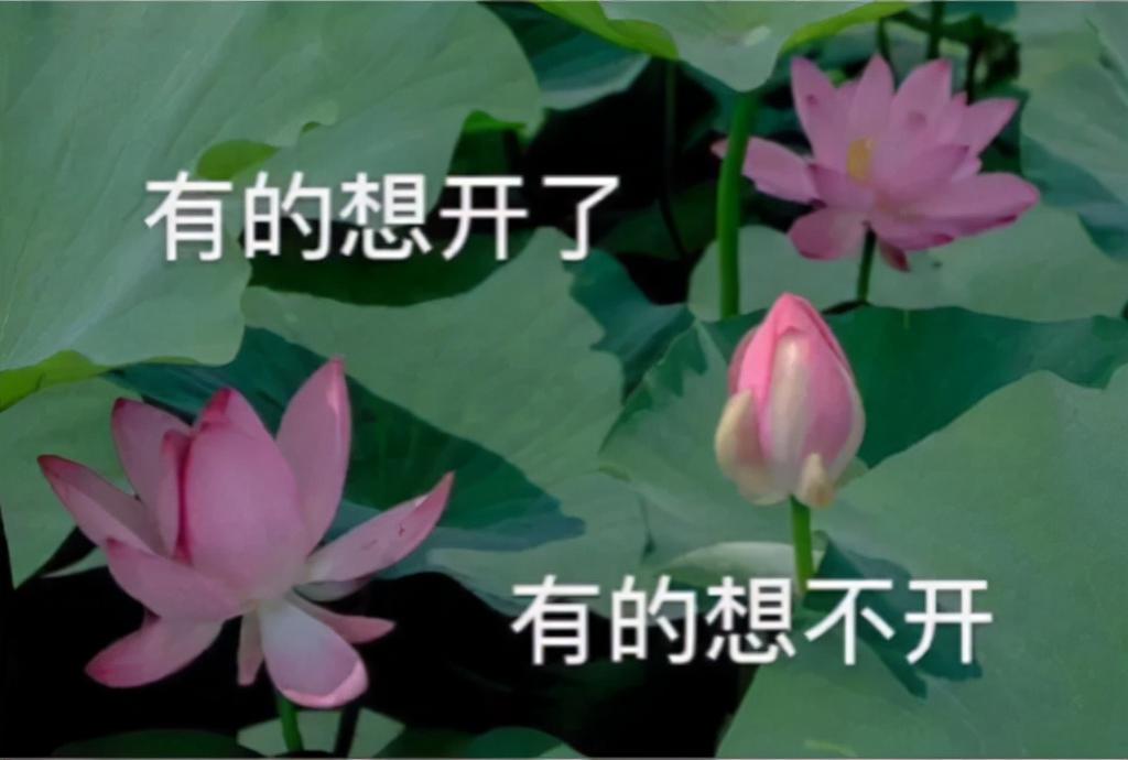 报考公务员有哪些职位（盘点最适合在职备考公务员的工作）