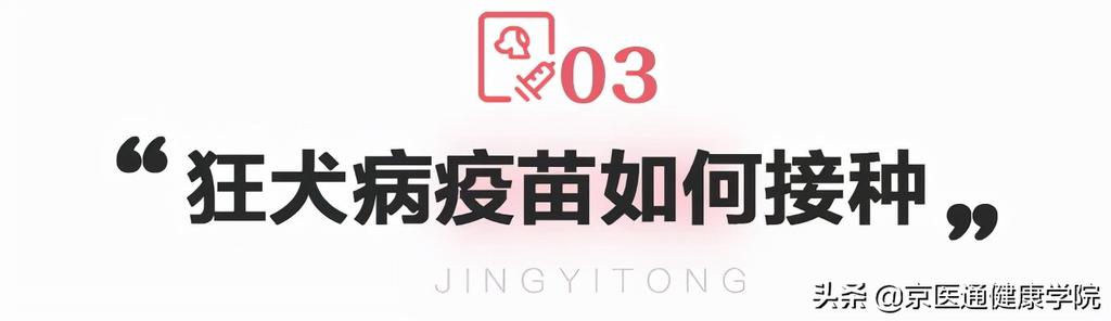 被猫狗抓伤咬伤怎么办？第一步并不是打疫苗