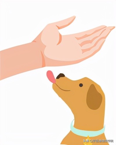 被猫狗抓伤咬伤怎么办？第一步并不是打疫苗