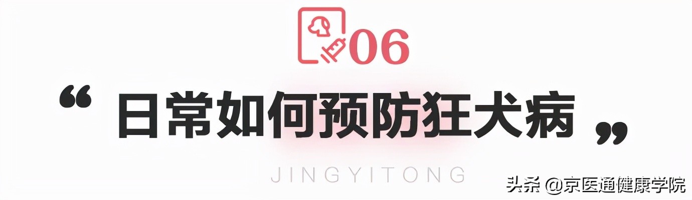 被猫狗抓伤咬伤怎么办？第一步并不是打疫苗