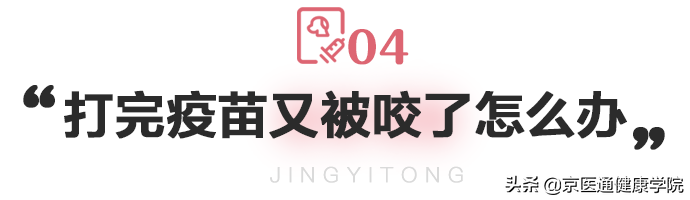 被猫狗抓伤咬伤怎么办？第一步并不是打疫苗