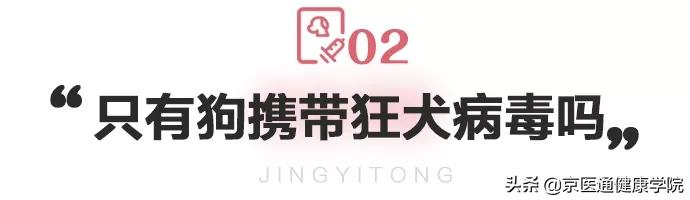 被猫狗抓伤咬伤怎么办？第一步并不是打疫苗