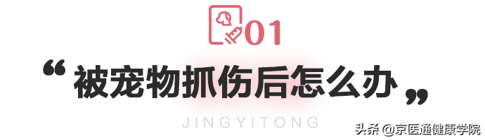 被猫狗抓伤咬伤怎么办？第一步并不是打疫苗
